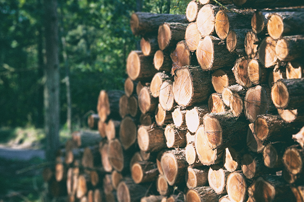 Veilig en Duurzaam hout in de wandspellen en kinderhoeken van IKC