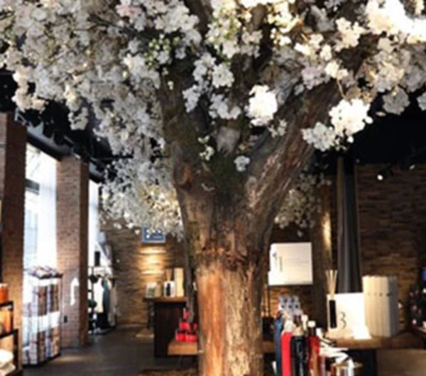 This image shows the interior of a store