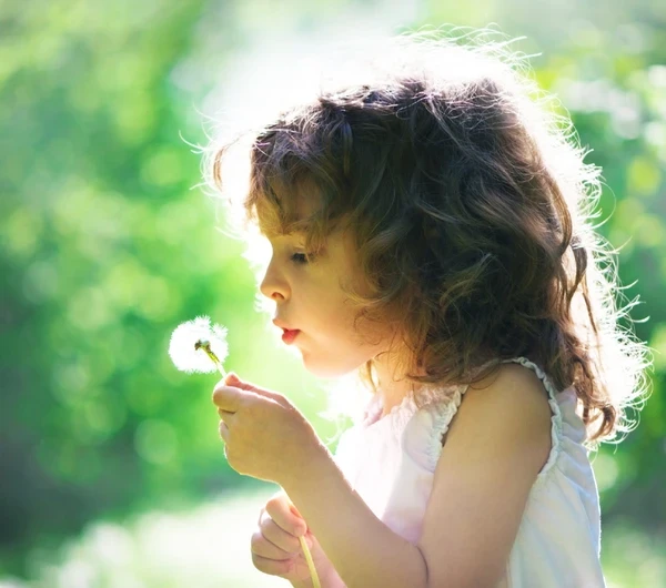 Duurzame Dinsdag in Nederland!