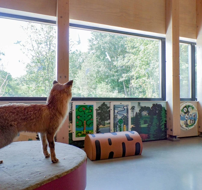 This picture shows a play corner in a visitors information centre of a Dutch national park